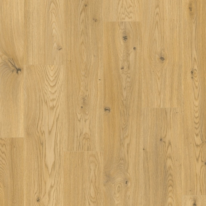 Elka V-Groove 12mm Sunrise Oak Laminate Flooring ELT174AP