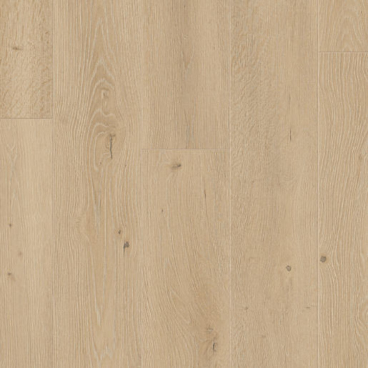 Elka V-Groove 8mm Orchid Oak Laminate Flooring ELV514AP