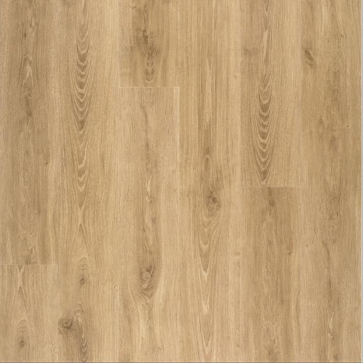 8mm Groove Rustic Oak Laminate Flooring Elka