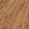 Brooks SPARTA 220 European Oak Brushed Mellow Rustic Plus Grade Reactive Stain with Sunken Filler TT1030