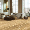 Burnham 155 Oak 2050 lacquered