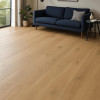 Developer Click 260 Oak Brushed & Matt Lacquered