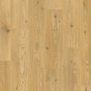 Elka V-Groove 12mm Sunrise Oak Laminate Flooring ELT174AP