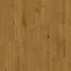 Elka V-Groove 8mm Woodland Oak Laminate Flooring ELV516AP