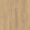 Elka V-Groove 8mm Oxford Oak Laminate Flooring ELV619AP
