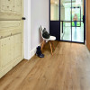 Lalegno LVT (stick-down) - Palermo