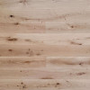 Pure Step Sunflower Plank