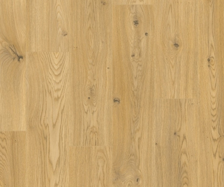 Elka V-Groove 12mm Sunrise Oak Laminate Flooring ELT174AP