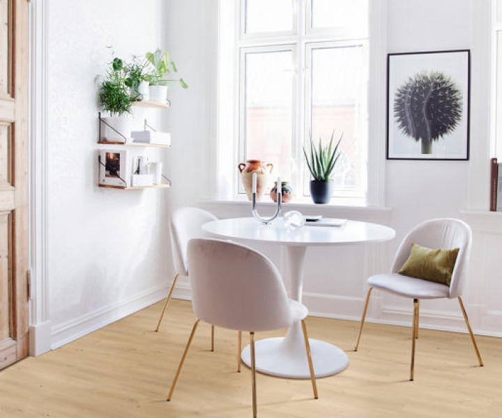 Elka V-Groove 8mm Orchid Oak Laminate Flooring ELV514AP