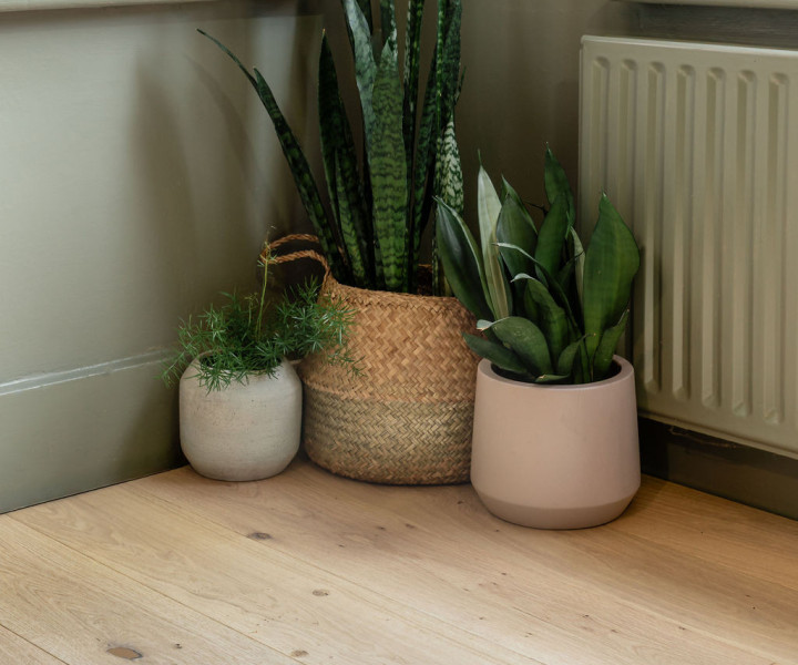 Pure Step Coral Plank 